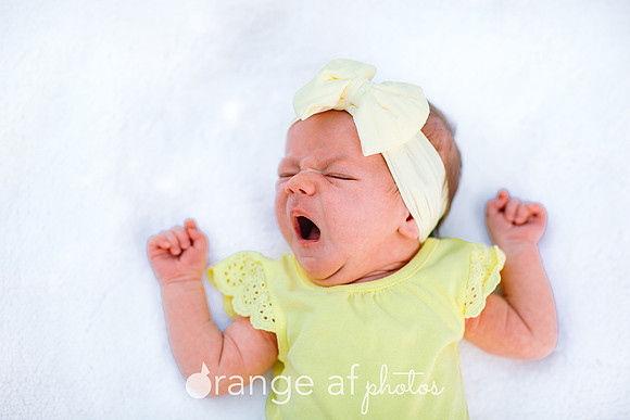 GlencoeMNNewbornPhotographer-19