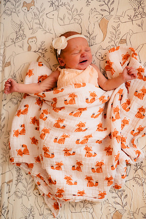 DorothyDennNewborn_76_HighRes