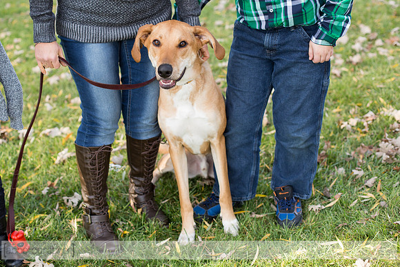 JustFamily_001
