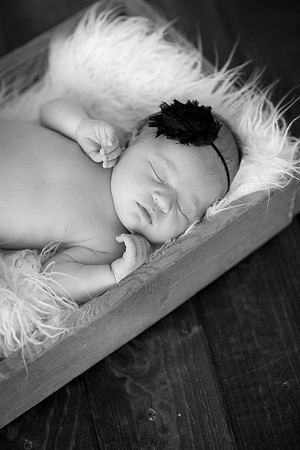 WaconiaMNNewbornPhotographer_10