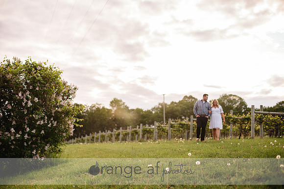 WaconiaMNWeddingPhotographer-13