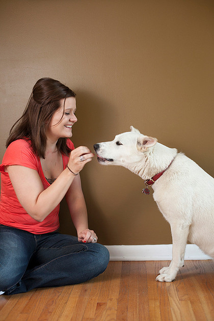 puppy cake smash photo shoot