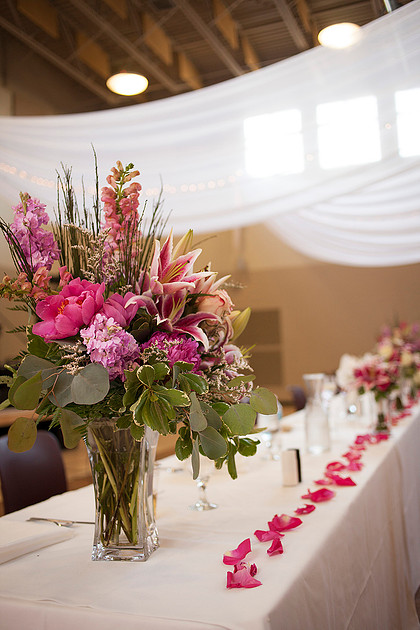 cologne, mn wedding photographer