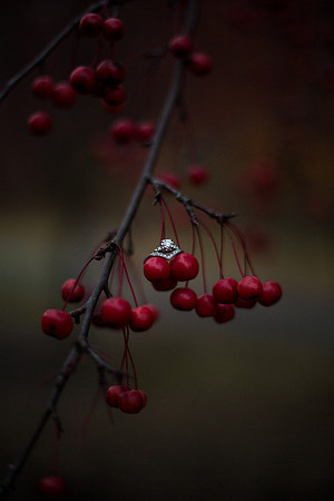 MankatoMNEngagementPhotographer_29