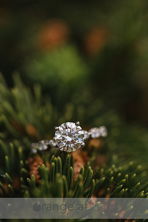 WaconiaMNWeddingPhotographer-1