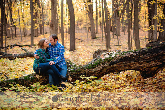 ChaskaMNProposalPhotographer-10