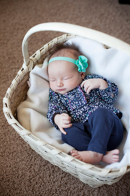 mn newborn photographer