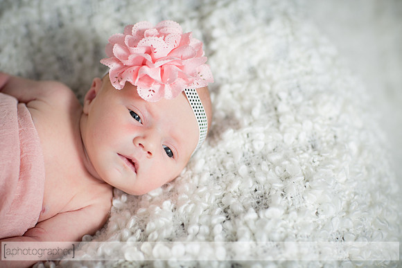BrooklynNewborn_016