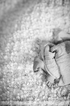BrooklynNewborn_013-2