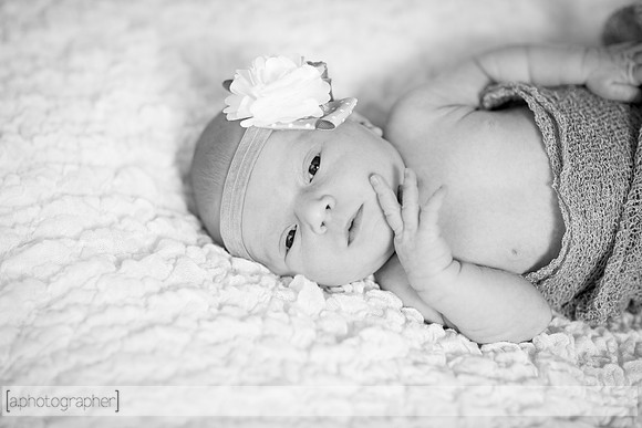 BrooklynNewborn_023-2