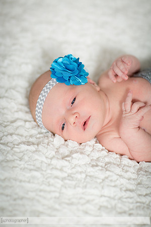 BrooklynNewborn_028