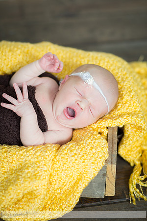 BrooklynNewborn_036
