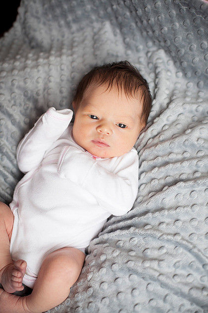 cologne mn newborn portrait photographer