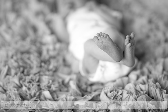 HazelNewbornPhotos_007-2