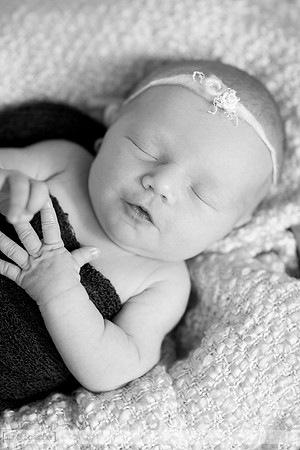 BrooklynNewborn_038-2