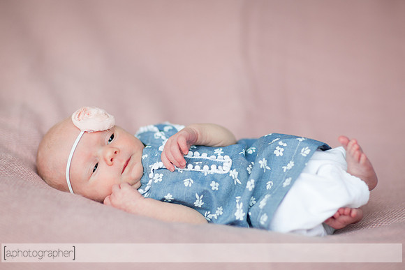HazelNewbornPhotos_012