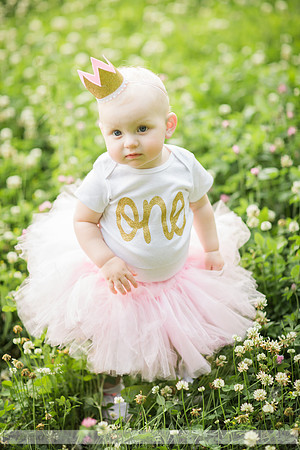 RoslynOneYear_007