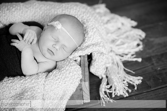 BrooklynNewborn_035-2