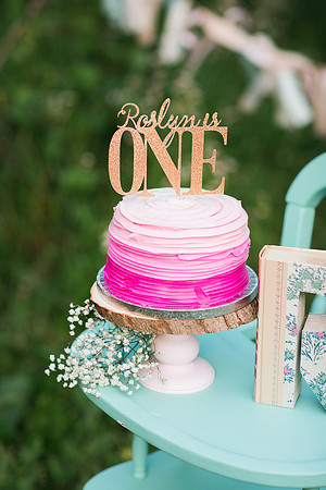 WaconiaCakeSmashPhotographer_12