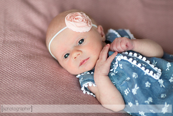 HazelNewbornPhotos_008