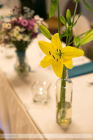 Reception_005