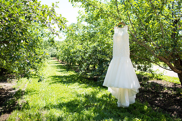 MNHarvestOrchardWeddingPhotographer_7