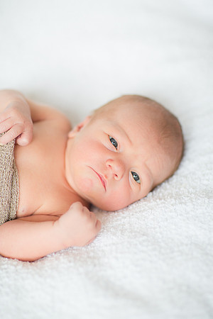 HendersonNewbornPhotographer_1