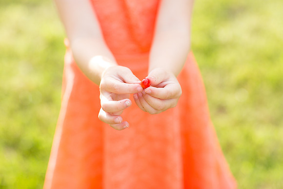 MaplePlainMNFamilyPhotographer_12