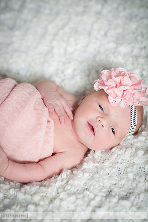 BrooklynNewborn_001