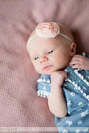 HazelNewbornPhotos_011