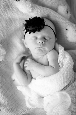 MinneapolisNewbornPhotographer_14