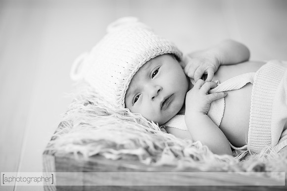 MiloNewborn_066-2