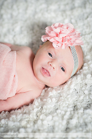 BrooklynNewborn_002