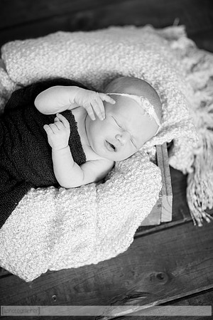 BrooklynNewborn_039-2
