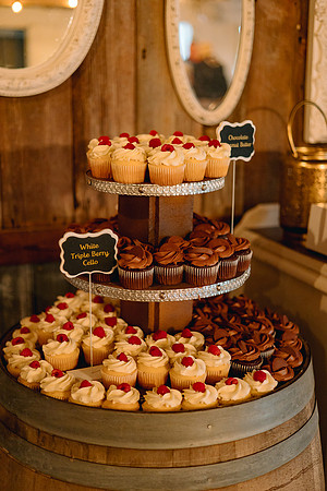 MinneapolisMNWeddingPhotographer-66