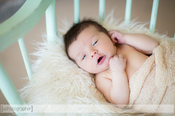 MiloNewborn_048