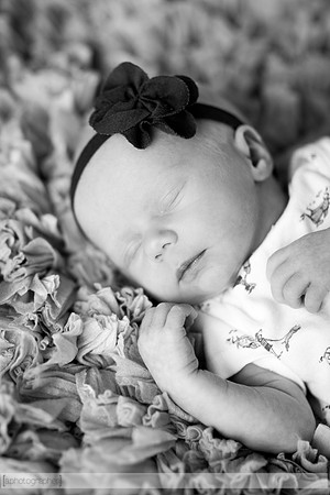 HazelNewbornPhotos_004-2