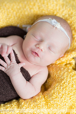BrooklynNewborn_038