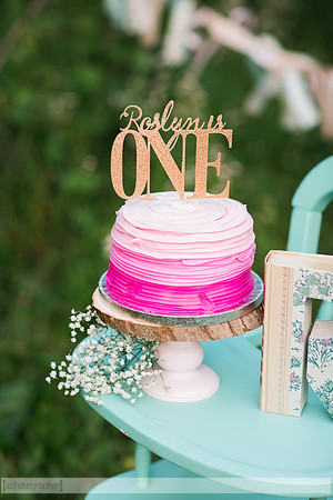 RoslynOneYear_039