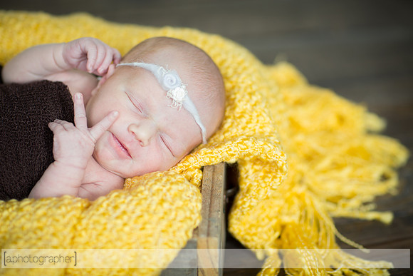 BrooklynNewborn_034