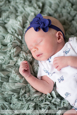 HazelNewbornPhotos_005