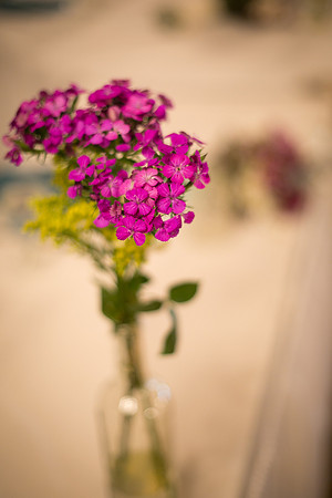 WaconiaMNWeddingPhotographer_52