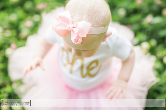 RoslynOneYear_004