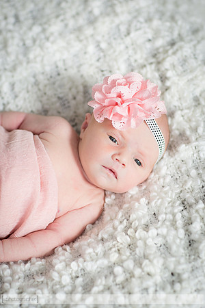 BrooklynNewborn_015