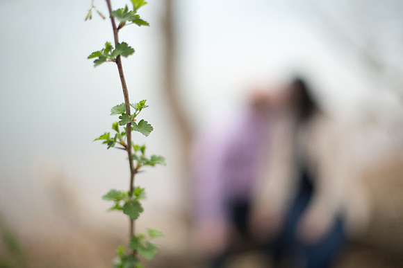 WaconiaEngagementPhotographer_4