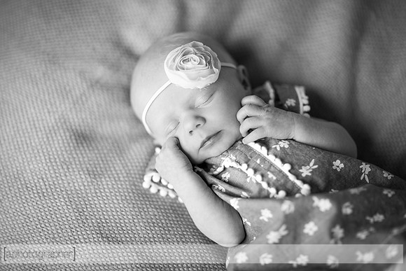 HazelNewbornPhotos_009-2