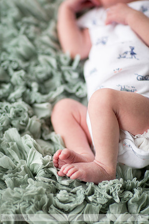HazelNewbornPhotos_003