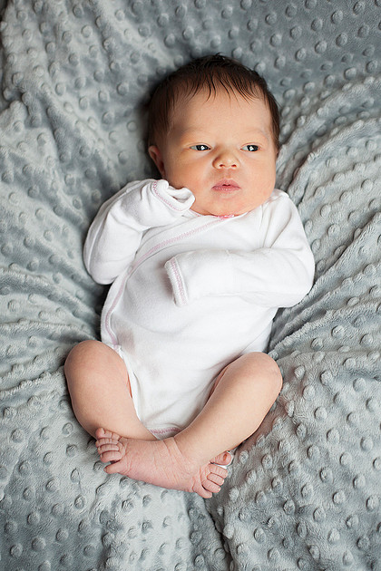 cologne mn newborn portrait photographer