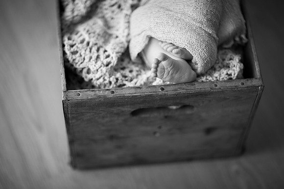 CarverCountyNewbornPhotographer_3