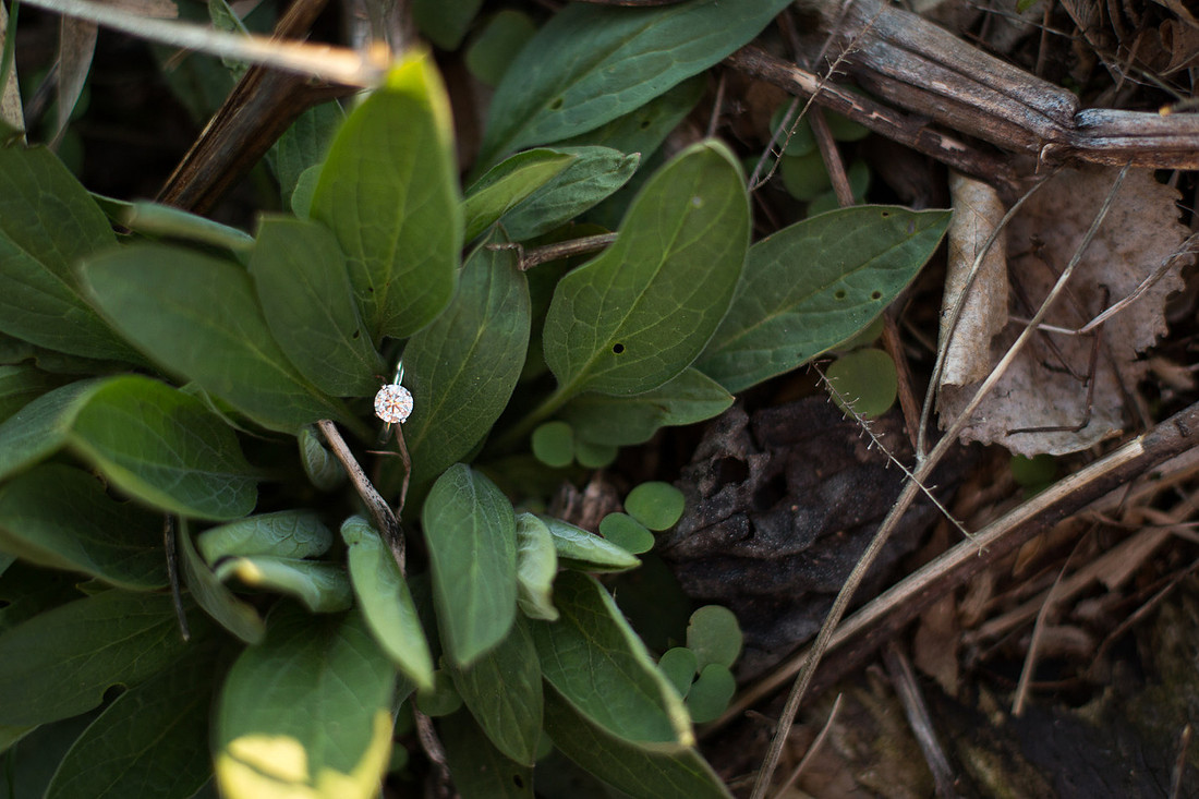 WhiteBearLakeWeddingPhotographer_13